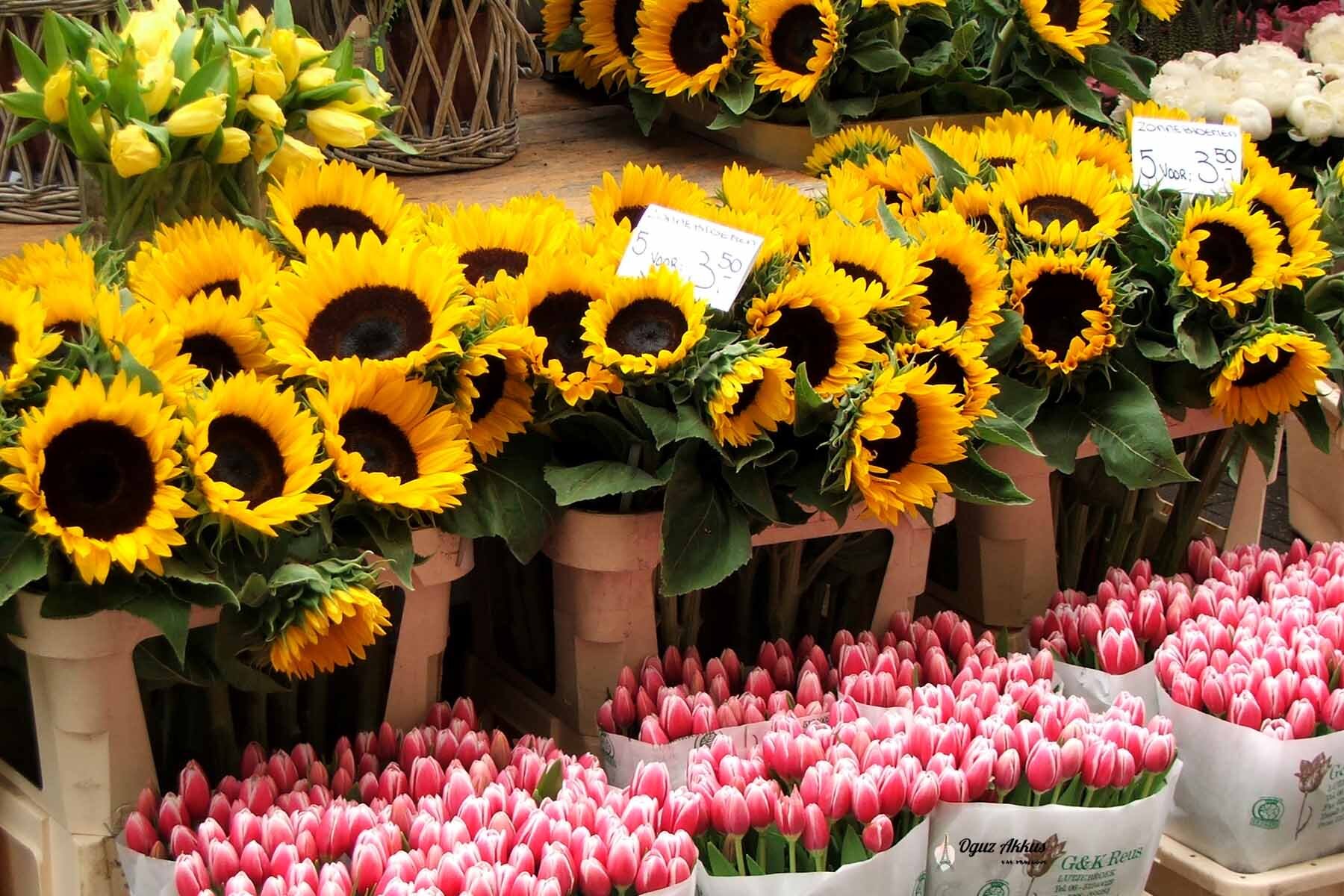 Bloemenmarkt