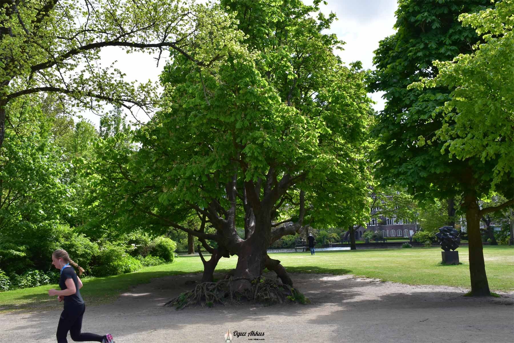 Vondelpark